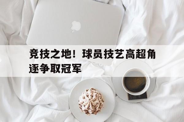 星空体育中国-职业球员成就